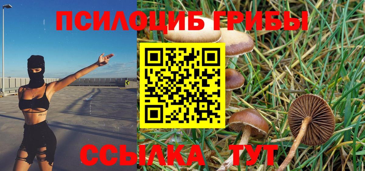 Псилоцибиновые грибы мицелий Коммунар